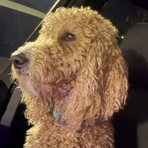 Meet your Posher, Jermaine